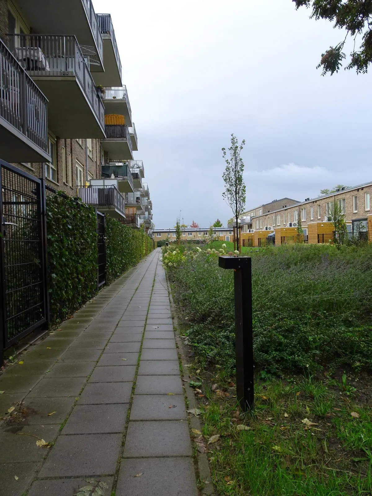 Pictor · Veenendaal