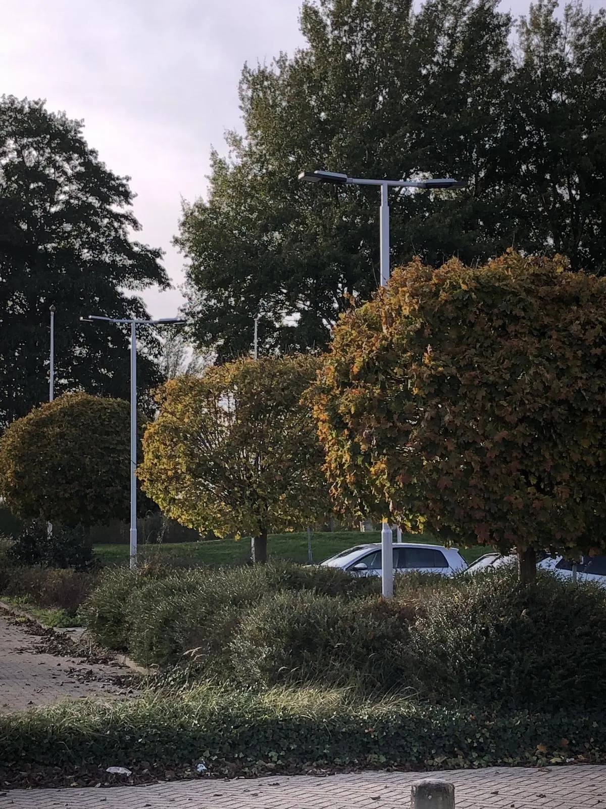Buitink · Genemuiden