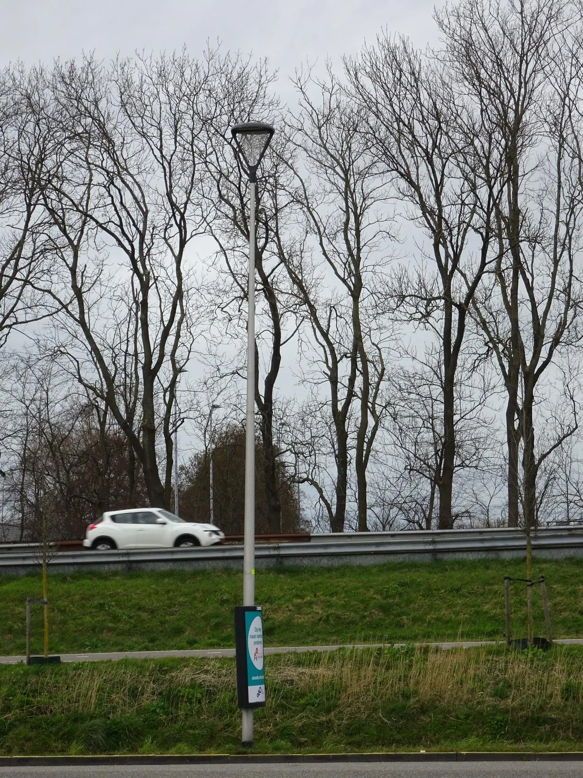 Lang · Sassenheim 3