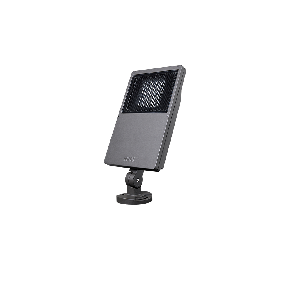 Pixis Surface