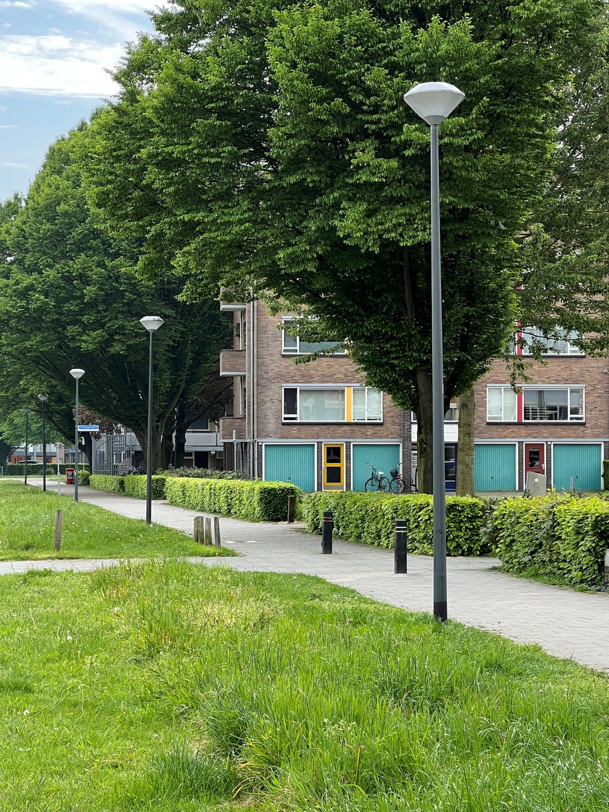 Diamond langs het wandelpad in de groene woonwijk