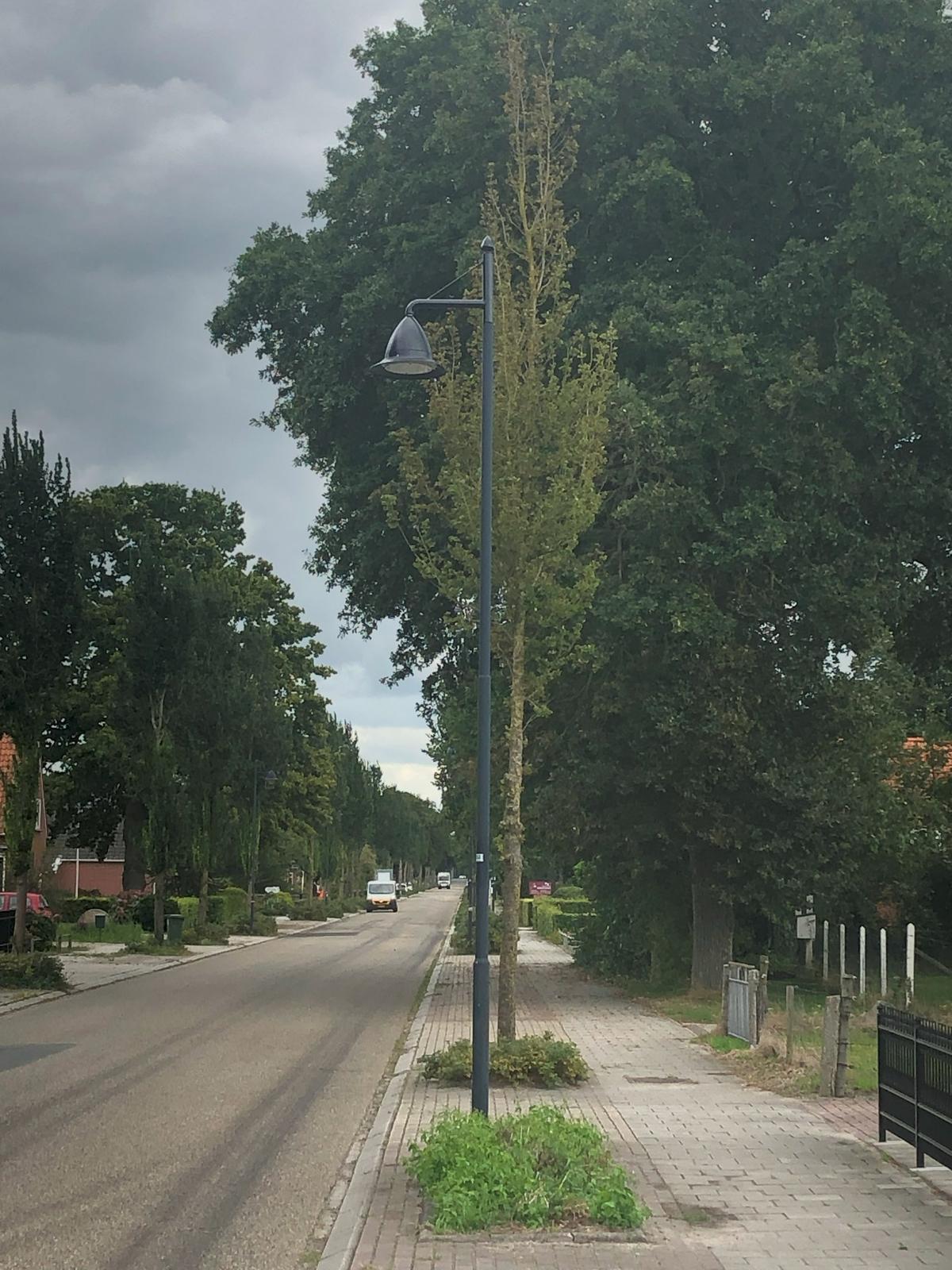 Kaus langs de groene dorpsweg