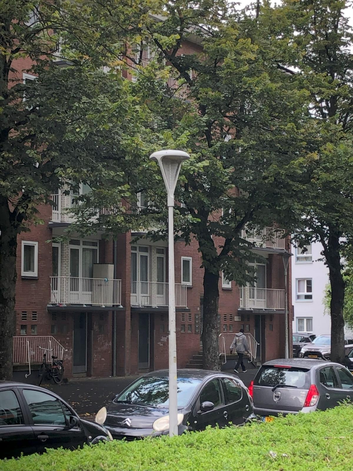 Lang in de groene woonstraat