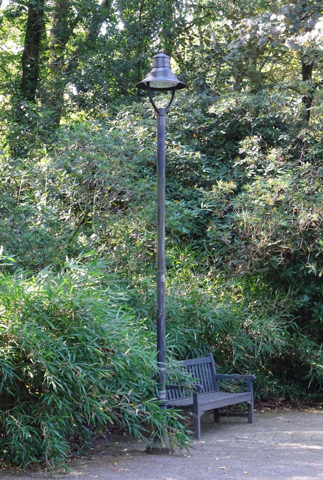 Light 21 bij het bankje in het park
