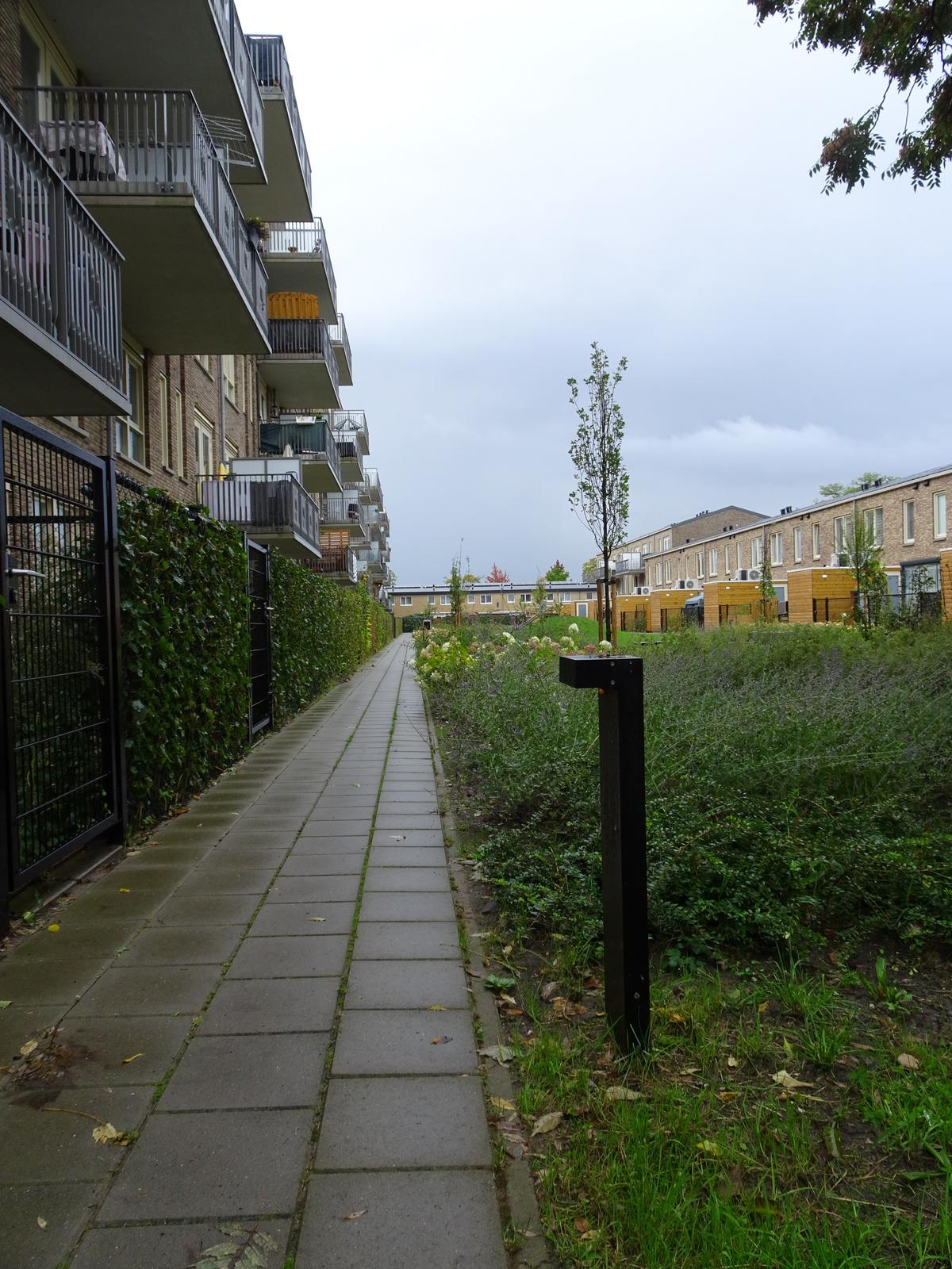 Pictor langs het wandelpad