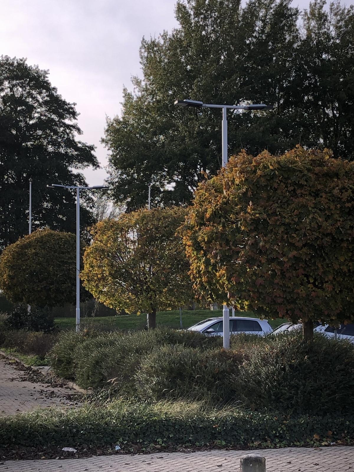 Buitink – Genemuiden